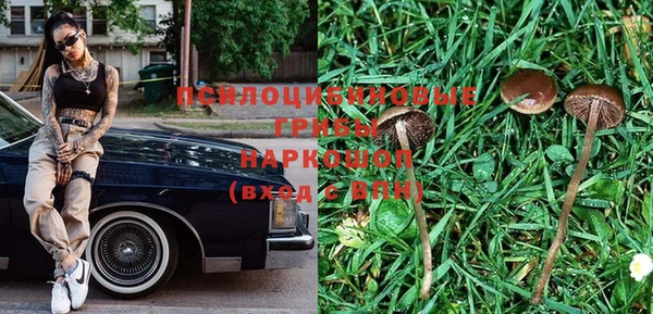первитин Дмитриев