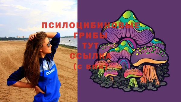 первитин Дмитриев