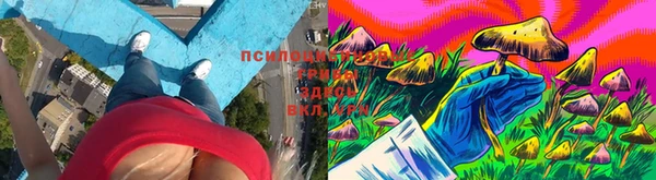 первитин Дмитриев