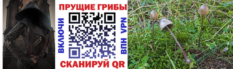 Галлюциногенные грибы GOLDEN TEACHER  Купить закладки  Калачинск 